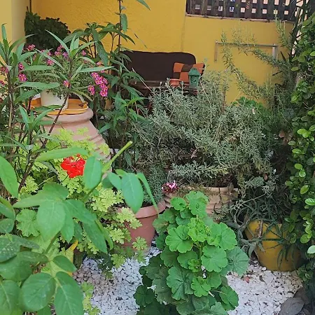 Summer 1 * Корони