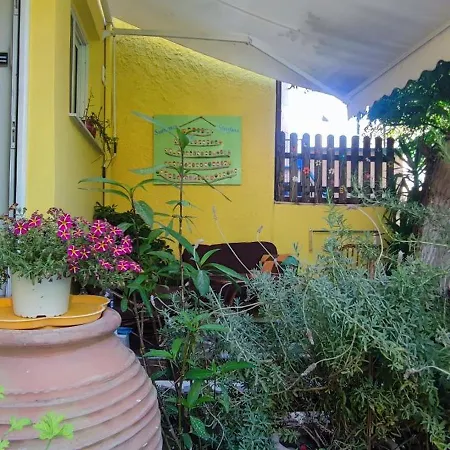 Summer 1 Holiday home