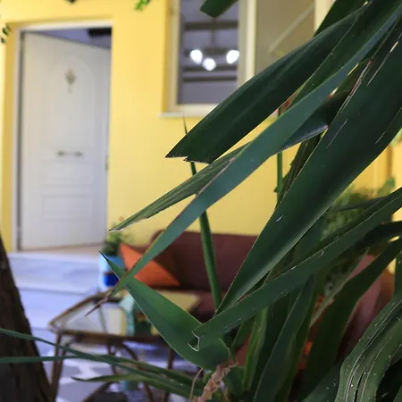 Summer 1 Holiday home