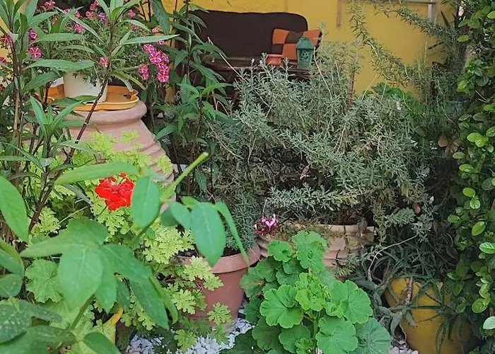 Summer 1 * Koroni (Messinia)